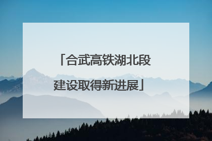 合武高铁湖北段建设取得新进展
