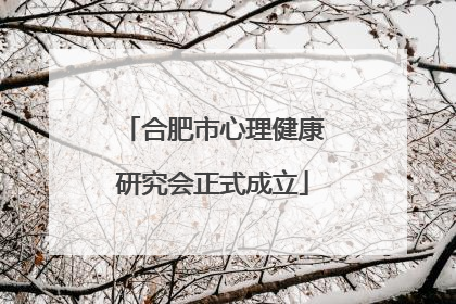 合肥市心理健康研究会正式成立