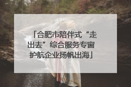 合肥市陪伴式“走出去”综合服务专窗护航企业扬帆出海