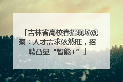 吉林省高校春招现场观察：人才需求依然旺，招聘凸显“智能+”