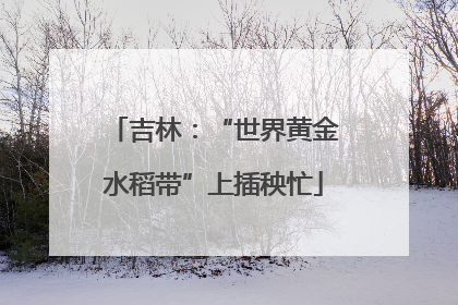 吉林：“世界黄金水稻带”上插秧忙