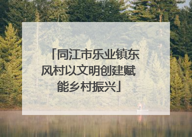 同江市乐业镇东风村以文明创建赋能乡村振兴