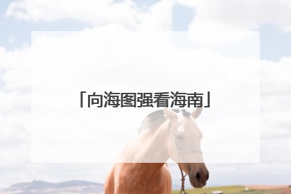 向海图强看海南