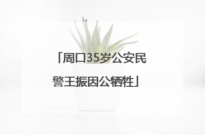周口35岁公安民警王振因公牺牲