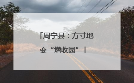 周宁县：方寸地变“增收园”
