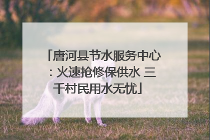唐河县节水服务中心：火速抢修保供水 三千村民用水无忧