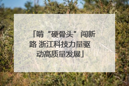 啃“硬骨头”闯新路 浙江科技力量驱动高质量发展
