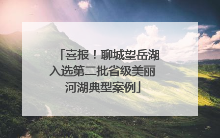 喜报！聊城望岳湖入选第二批省级美丽河湖典型案例