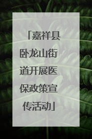 嘉祥县卧龙山街道开展医保政策宣传活动