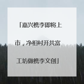 嘉兴槜李即将上市，净相村开共富工坊做槜李文创