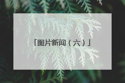 图片新闻（六）