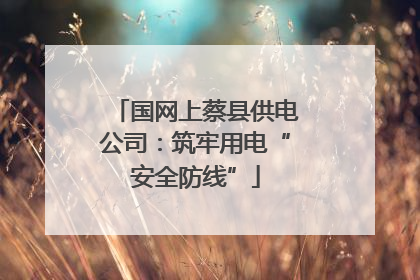 国网上蔡县供电公司：筑牢用电“安全防线”