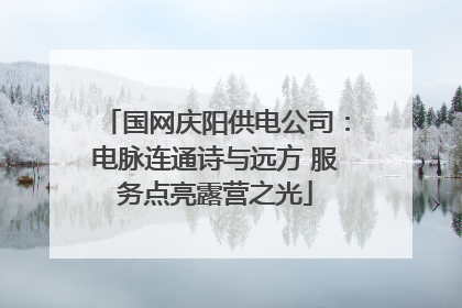 国网庆阳供电公司：电脉连通诗与远方 服务点亮露营之光
