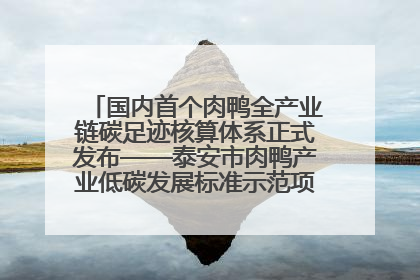 国内首个肉鸭全产业链碳足迹核算体系正式发布——泰安市肉鸭产业低碳发展标准示范项目顺利通过验收