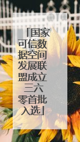 国家可信数据空间发展联盟成立 三六零首批入选