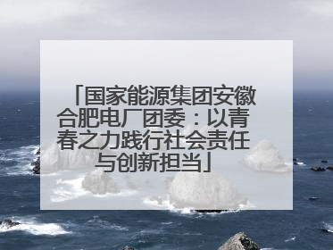 国家能源集团安徽合肥电厂团委：以青春之力践行社会责任与创新担当
