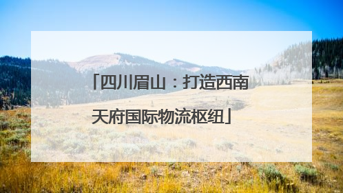 四川眉山：打造西南天府国际物流枢纽