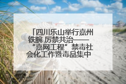 四川乐山举行嘉州铁腕 厉禁共治——“嘉网工程”禁毒社会化工作暨毒品集中销毁启动仪式