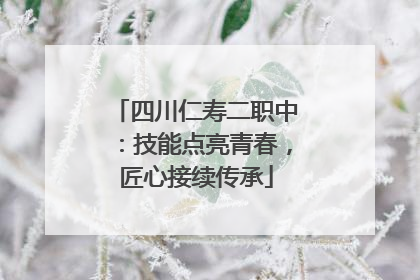 四川仁寿二职中：技能点亮青春，匠心接续传承