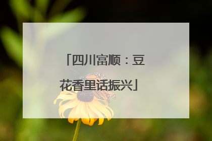 四川富顺：豆花香里话振兴