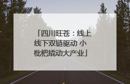 四川旺苍：线上线下双链驱动 小枇杷撬动大产业