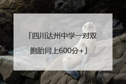 四川达州中学一对双胞胎同上600分+