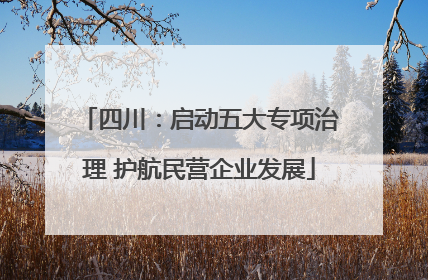 四川：启动五大专项治理 护航民营企业发展