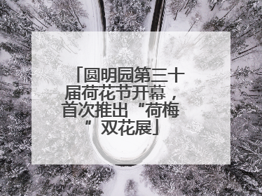 圆明园第三十届荷花节开幕，首次推出“荷梅”双花展