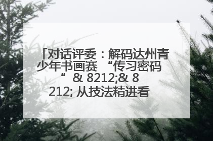 对话评委：解码达州青少年书画赛 “传习密码”& 8212;& 8212; 从技法精进看文化传承新活力