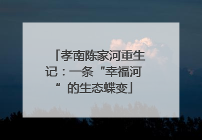 孝南陈家河重生记：一条“幸福河”的生态蝶变