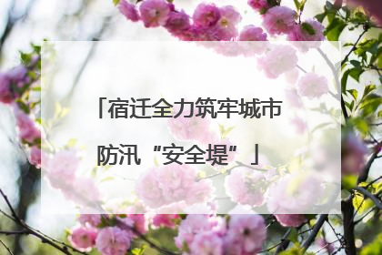 宿迁全力筑牢城市防汛“安全堤”