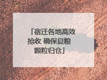 宿迁各地高效抢收 确保夏粮颗粒归仓