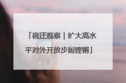 宿迁观察｜扩大高水平对外开放步履铿锵