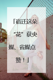 宿迁这朵“花”获央媒、省媒点赞！