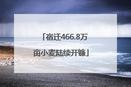 宿迁466.8万亩小麦陆续开镰