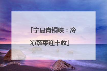 宁夏青铜峡：冷凉蔬菜迎丰收