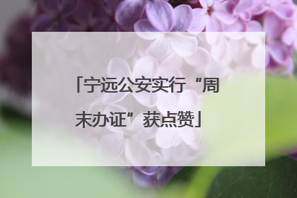 宁远公安实行“周末办证”获点赞