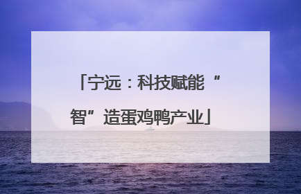 宁远：科技赋能“智”造蛋鸡鸭产业