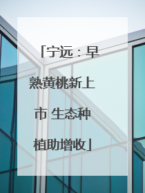 宁远：早熟黄桃新上市 生态种植助增收