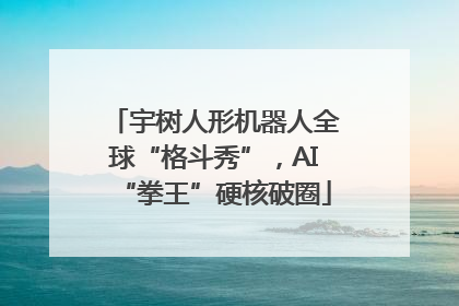 宇树人形机器人全球“格斗秀”，AI“拳王”硬核破圈