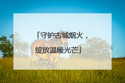 守护古城烟火，绽放温暖光芒