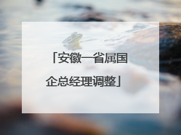 安徽一省属国企总经理调整
