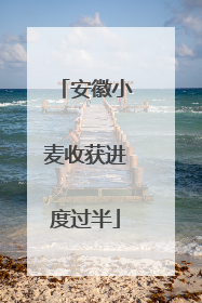 安徽小麦收获进度过半
