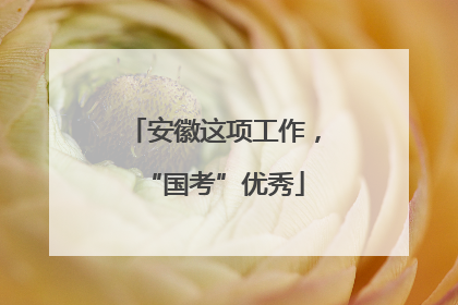 安徽这项工作，“国考”优秀