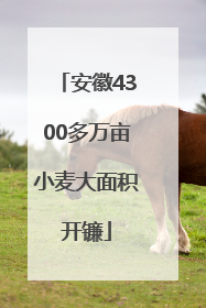 安徽4300多万亩小麦大面积开镰