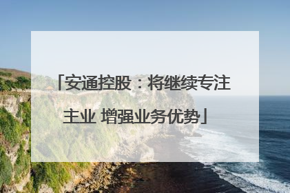 安通控股：将继续专注主业 增强业务优势