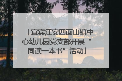 宜宾江安四面山镇中心幼儿园党支部开展“同读一本书”活动