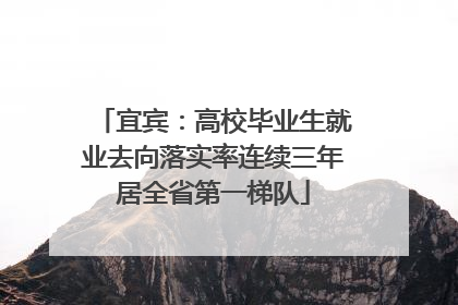宜宾：高校毕业生就业去向落实率连续三年居全省第一梯队