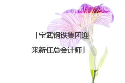 宝武钢铁集团迎来新任总会计师