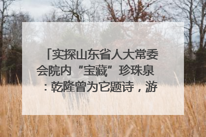 实探山东省人大常委会院内“宝藏”珍珠泉：乾隆曾为它题诗，游客无需预约免费游览